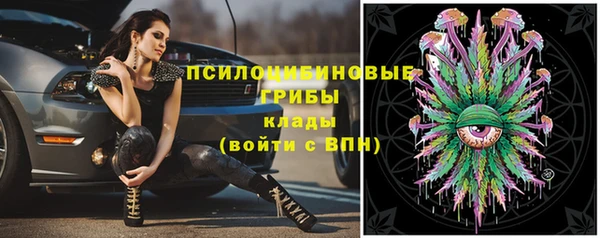 мяу мяу мука Вяземский