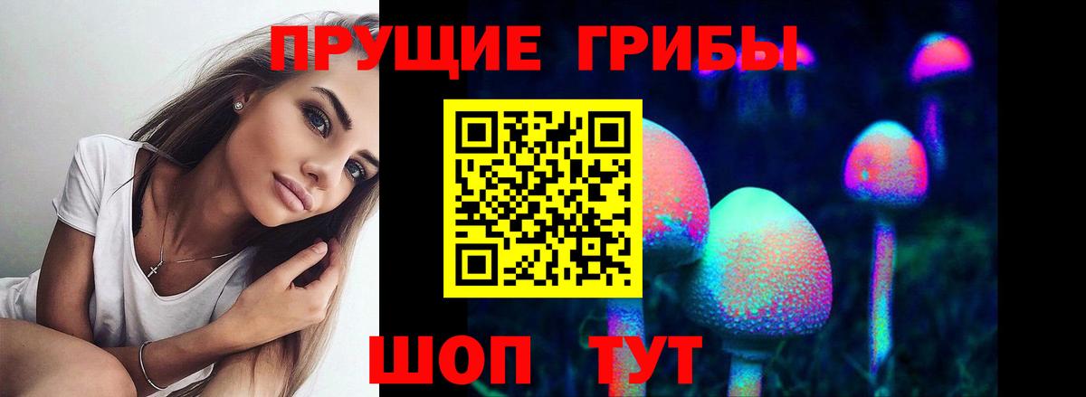 Псилоцибиновые грибы прущие грибы Георгиевск