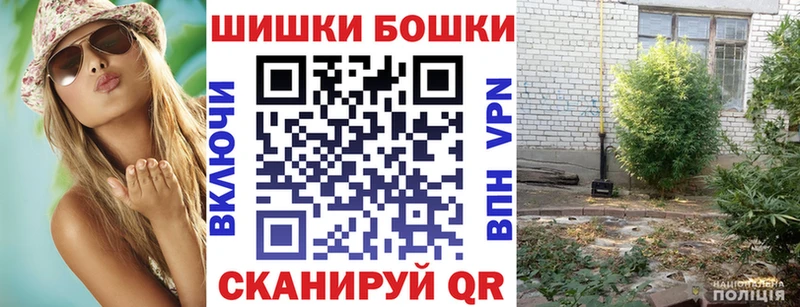 omg вход  Георгиевск  Бошки Шишки планчик  купить закладку 